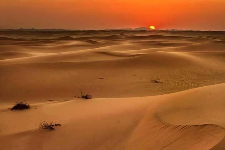 Camp Sahara Holidays M'Hamid Exterior foto