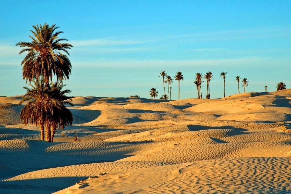 Camp Sahara Holidays M'Hamid Exterior foto