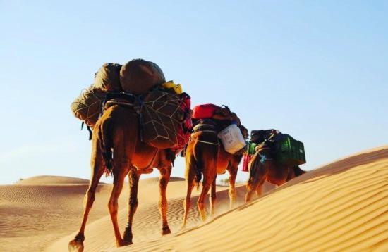 Camp Sahara Holidays M'Hamid Exterior foto