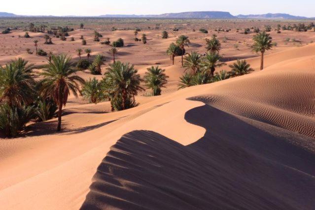 Camp Sahara Holidays M'Hamid Exterior foto