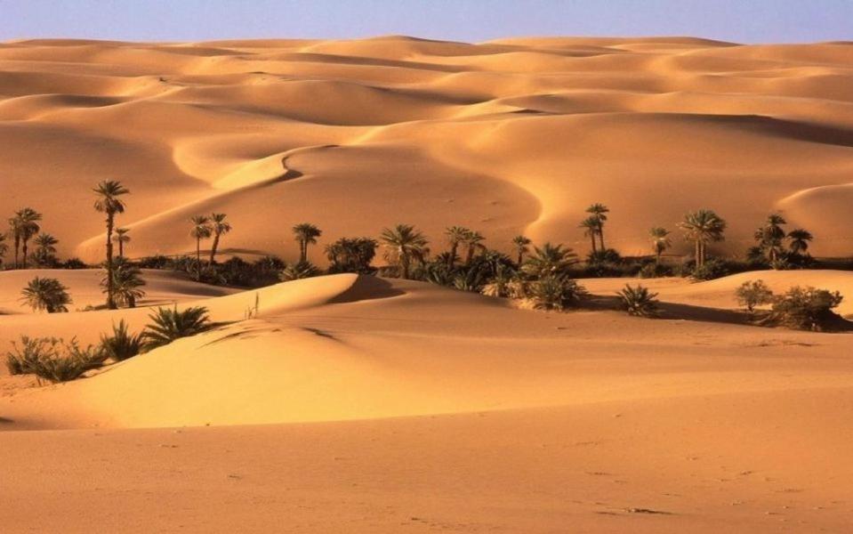 Camp Sahara Holidays M'Hamid Exterior foto