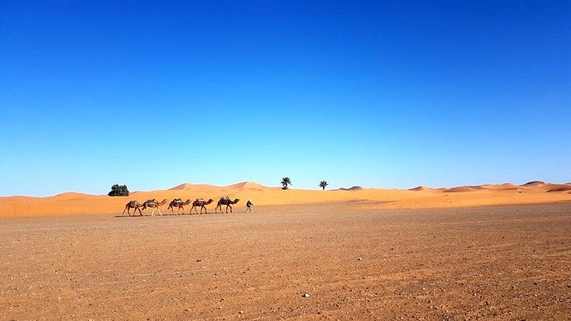 Camp Sahara Holidays M'Hamid Exterior foto