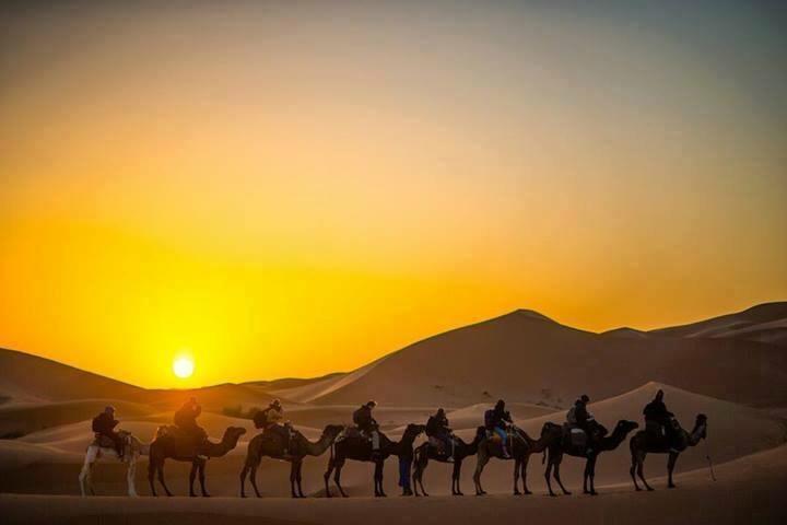 Camp Sahara Holidays M'Hamid Exterior foto