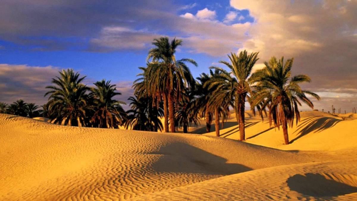 Camp Sahara Holidays M'Hamid Exterior foto