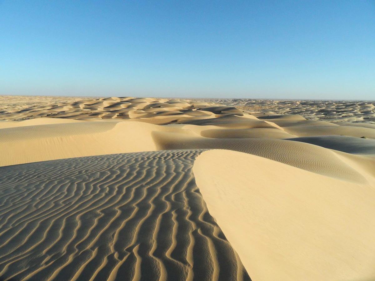 Camp Sahara Holidays M'Hamid Exterior foto
