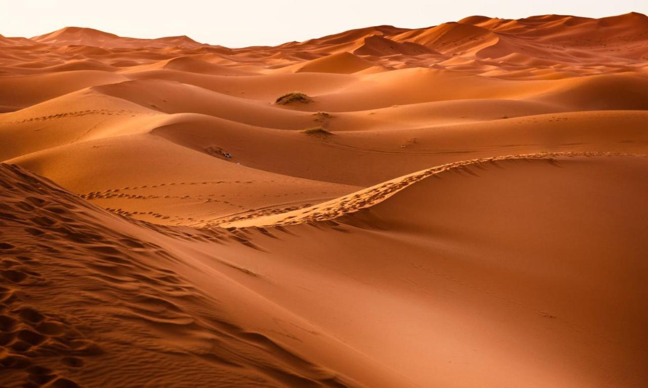 Camp Sahara Holidays M'Hamid Exterior foto