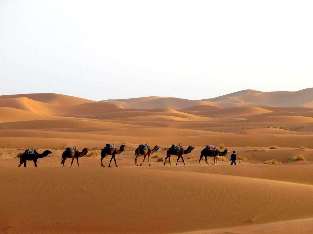 Camp Sahara Holidays M'Hamid Exterior foto
