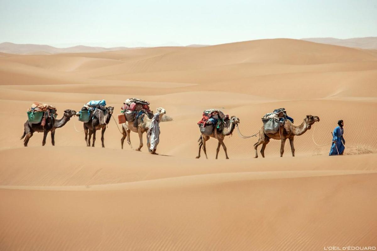 Camp Sahara Holidays M'Hamid Exterior foto